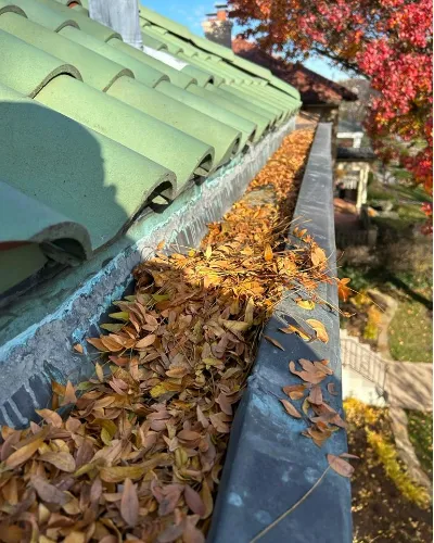 Gutter cleaning near me Chicago Heights