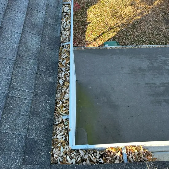 Gutter cleaning service near me